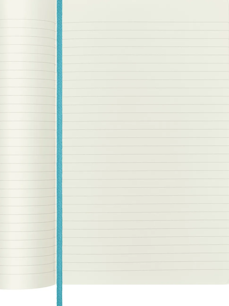 Moleskine: Classic Notebook (Notesbog, Softcover, The Original, Large, Reef Blue, Ruled)