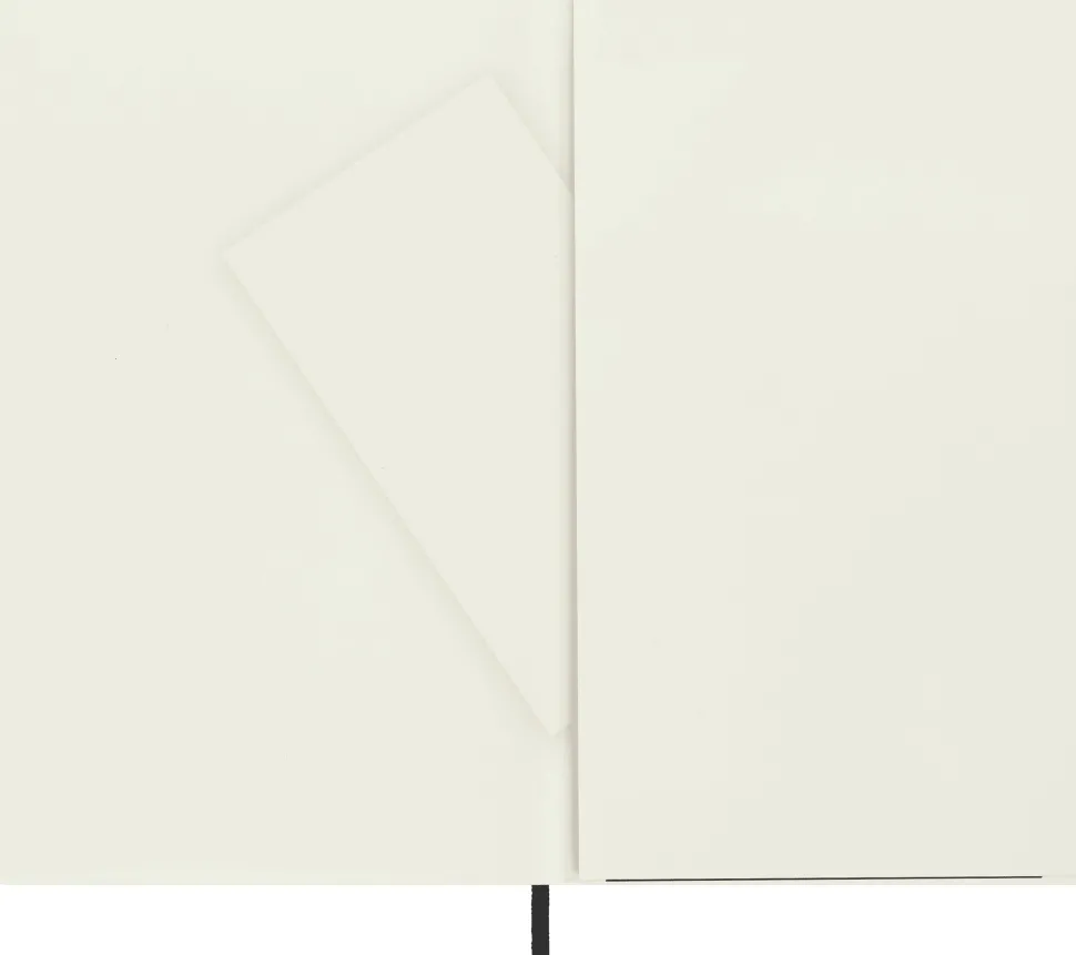 Moleskine: Classic Notebook (Notesbog, Softcover, The Original, Large, Black, Plain)