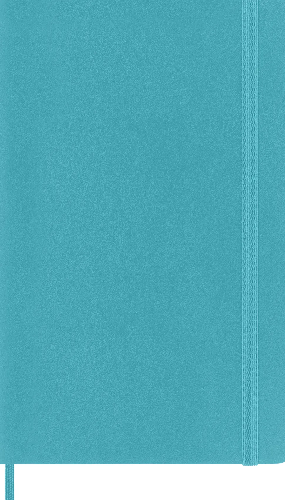 Moleskine: Classic Notebook (Notesbog, Softcover, The Original, Large, Reef Blue, Plain)