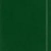 Moleskine: Classic Notebook (Notesbog, Softcover, The Original, XL, Myrtle Green, Plain)