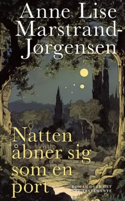 Natten åbner sig som en port: Roman over Det nye Testamente (Bog, Indbundet, Dansk) af Anne Lise Marstrand-Jørgensen