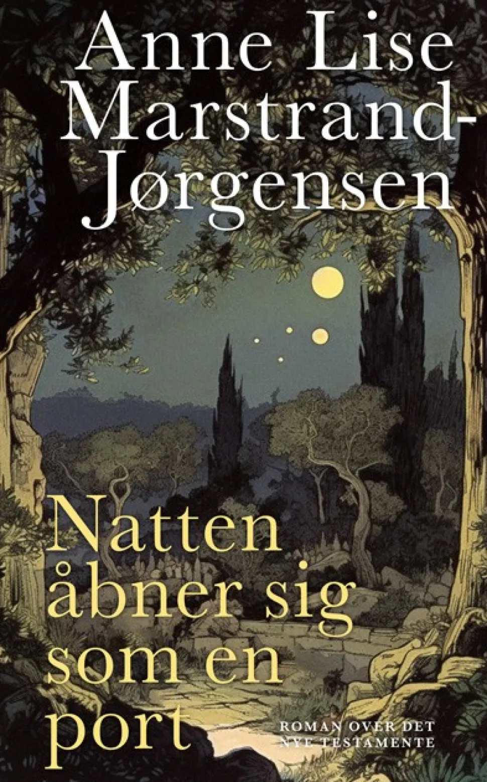 Natten åbner sig som en port: Roman over Det nye Testamente (Bog, Indbundet, Dansk) af Anne Lise Marstrand-Jørgensen