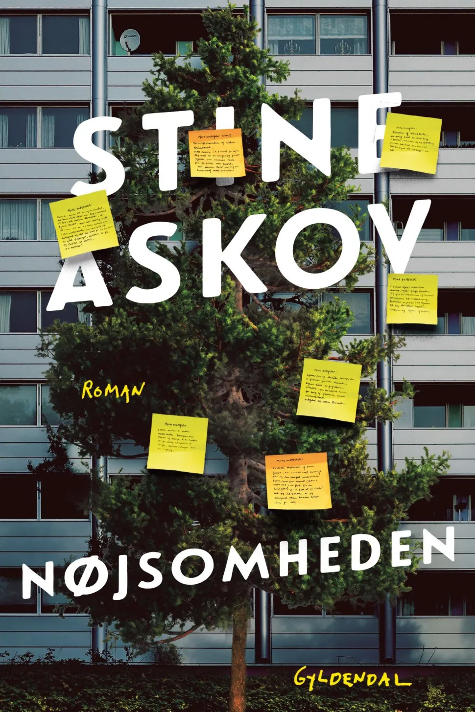 Nøjsomheden (Ebog, epub, Dansk) af Stine Askov