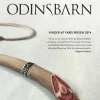 Odinsbarn. Ravneringene 1: Ravneringene 1 (Bog, Hæftet, Dansk) af Siri Pettersen