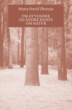 Om at vandre: og andre essays om natur (Bog, Hæftet, Dansk) af Henry Thoreau