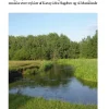 Om ørredfiskeri i Karup å: En genvej til succes med bæk- og havørred fiskeriet på de ... (Bog, Paperback, Dansk)