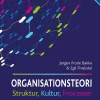 Organisationsteori: Struktur, Kultur, Processer (Bog, Hæftet, Dansk) af Jørgen Frode Bakka og Egil Fivelsdal
