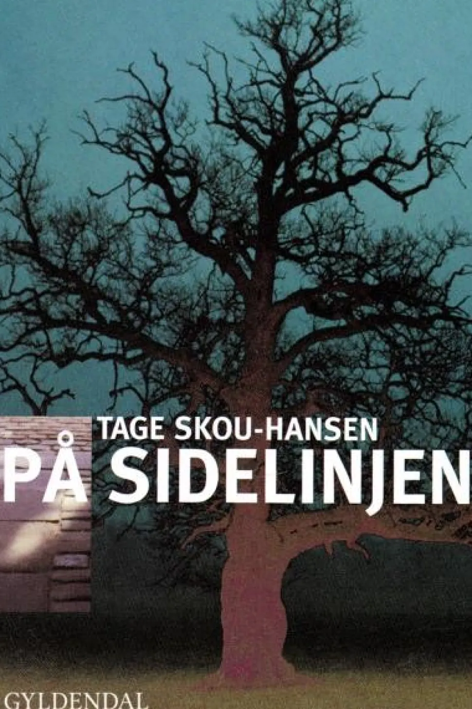 På sidelinjen (Lydbog, zip_mp3, Dansk) af Tage Skou-Hansen