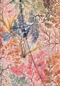 Paperblanks: Anemone - William Kilburn (Notesbog, Hardcover, William Kilburn, Mini, Anemone, Lined)