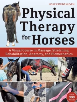 Physical Therapy for Horses: A Visual Course in Massage, Stretching, Rehabilitation, ... (Bog, Hardback, Engelsk)