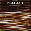 Pileflet 1: grundlæggende teknik (Bog, Hardback, Dansk) af Jane Enemark