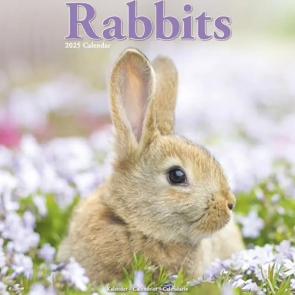 Rabbits Square Wall Calendar 2025 (Kalender, Calendar, Engelsk)