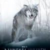 Ravnenes hvisken - Bog 3 (Ebog, epub, Dansk) af Malene Sølvsten