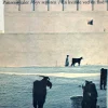 Rejsedagbøger (Ebog, epub, Dansk) af Thorkild Hansen