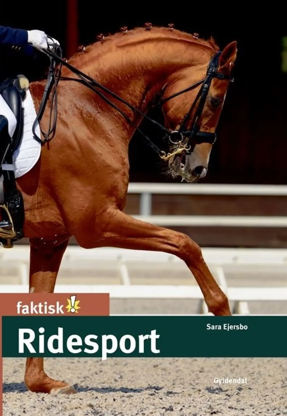 Ridesport (Bog, Indbundet, Dansk) af Sara Ejersbo