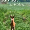 Råvildt og råvildtjagt (Bog, Indbundet, Dansk) af Henning Kørvel