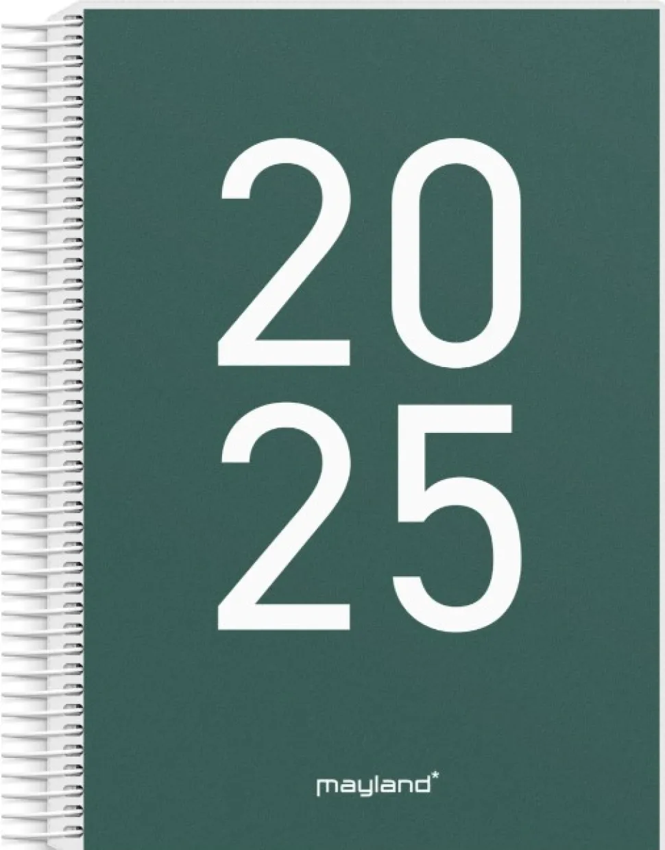 Seniorkalender 2025 (Kalender, Spiralryg)