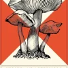 Shriek: An Afterword (Bog, Paperback / softback, Engelsk) af Jeff VanderMeer