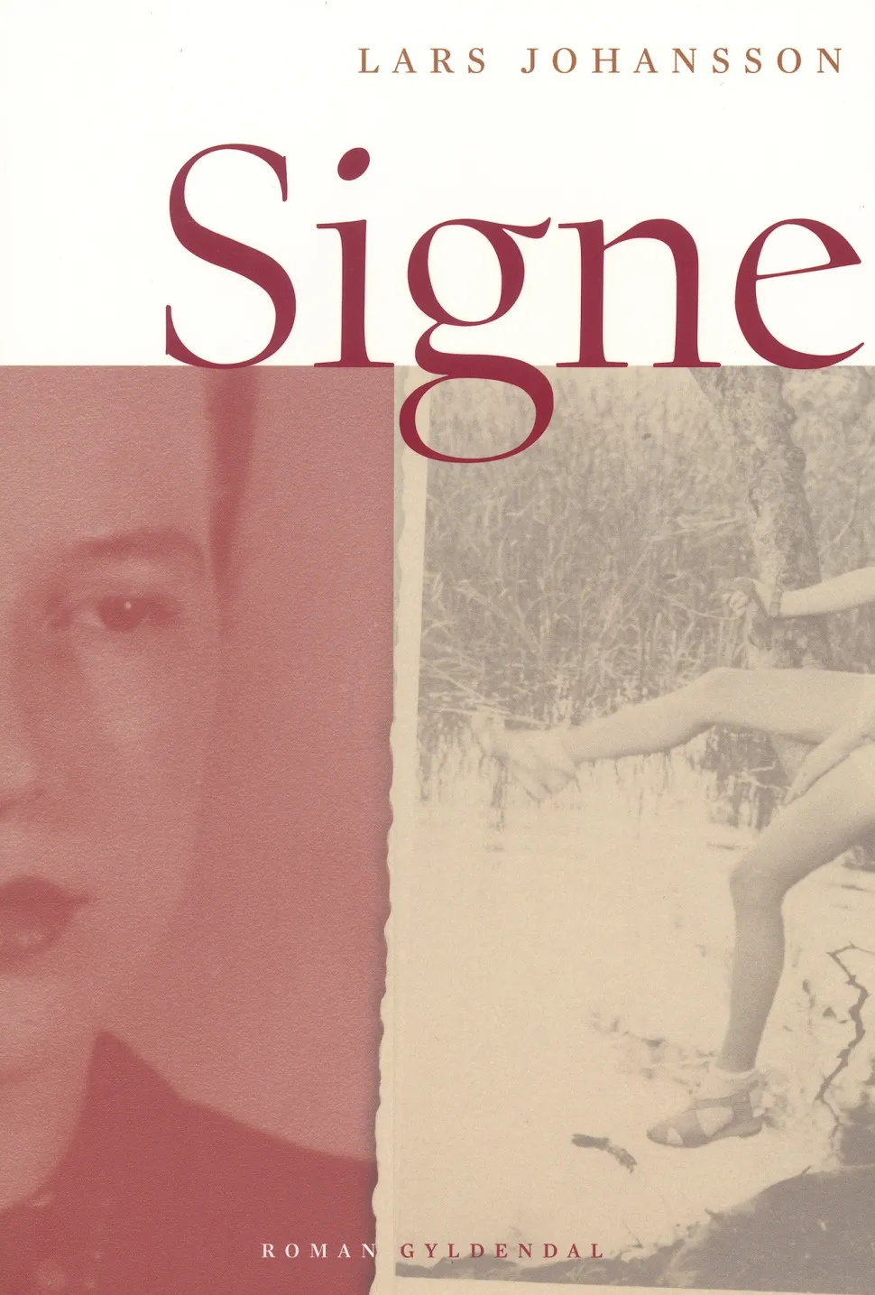 Signe (Ebog, epub, Dansk) af Lars Johansson