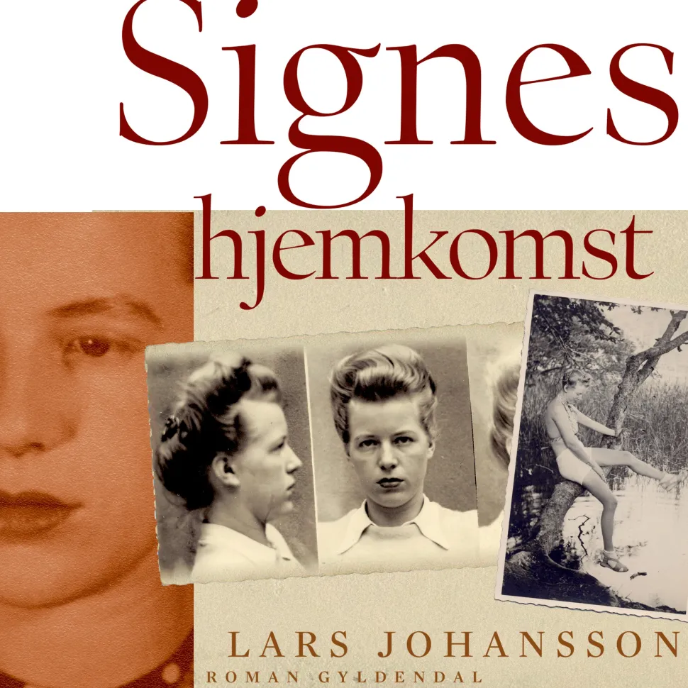 Signes hjemkomst (Lydbog, zip_mp3, Dansk) af Lars Johansson