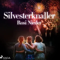 Silvesterknaller - Vulkanausbruch in der Eifel 2010/11 (Lydbog, zip_mp3, Tysk) af Rosi Nieder