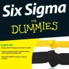 Six Sigma For Dummies (Bog, Paperback / softback, Engelsk) af C Gygi