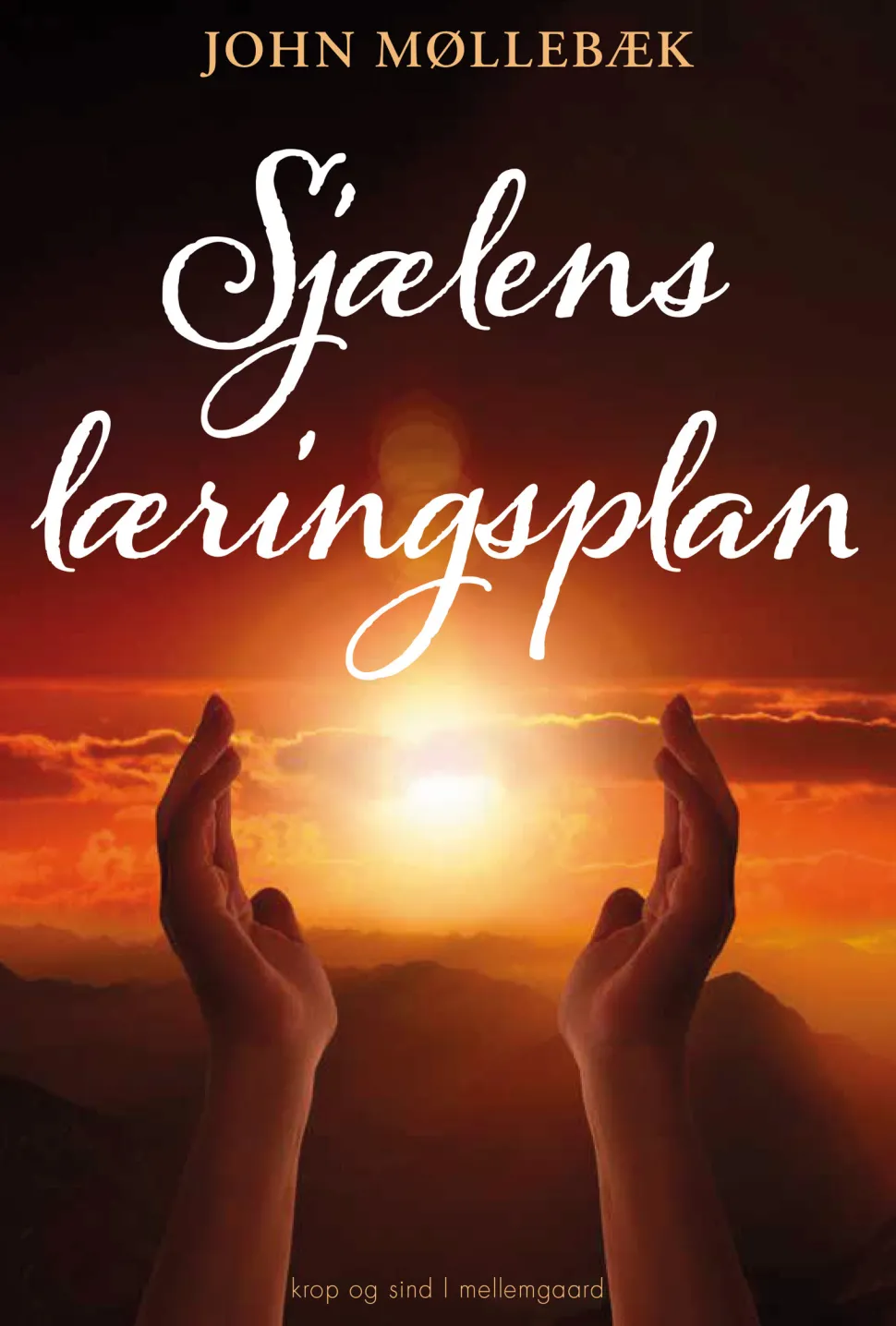 Sjælens læringsplan (Ebog, epub, Dansk) af John Møllebæk