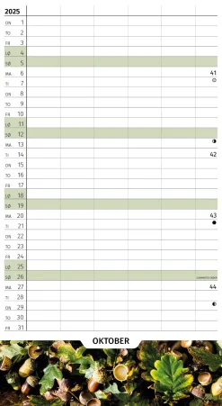 Skoleåret Rundt 25/26