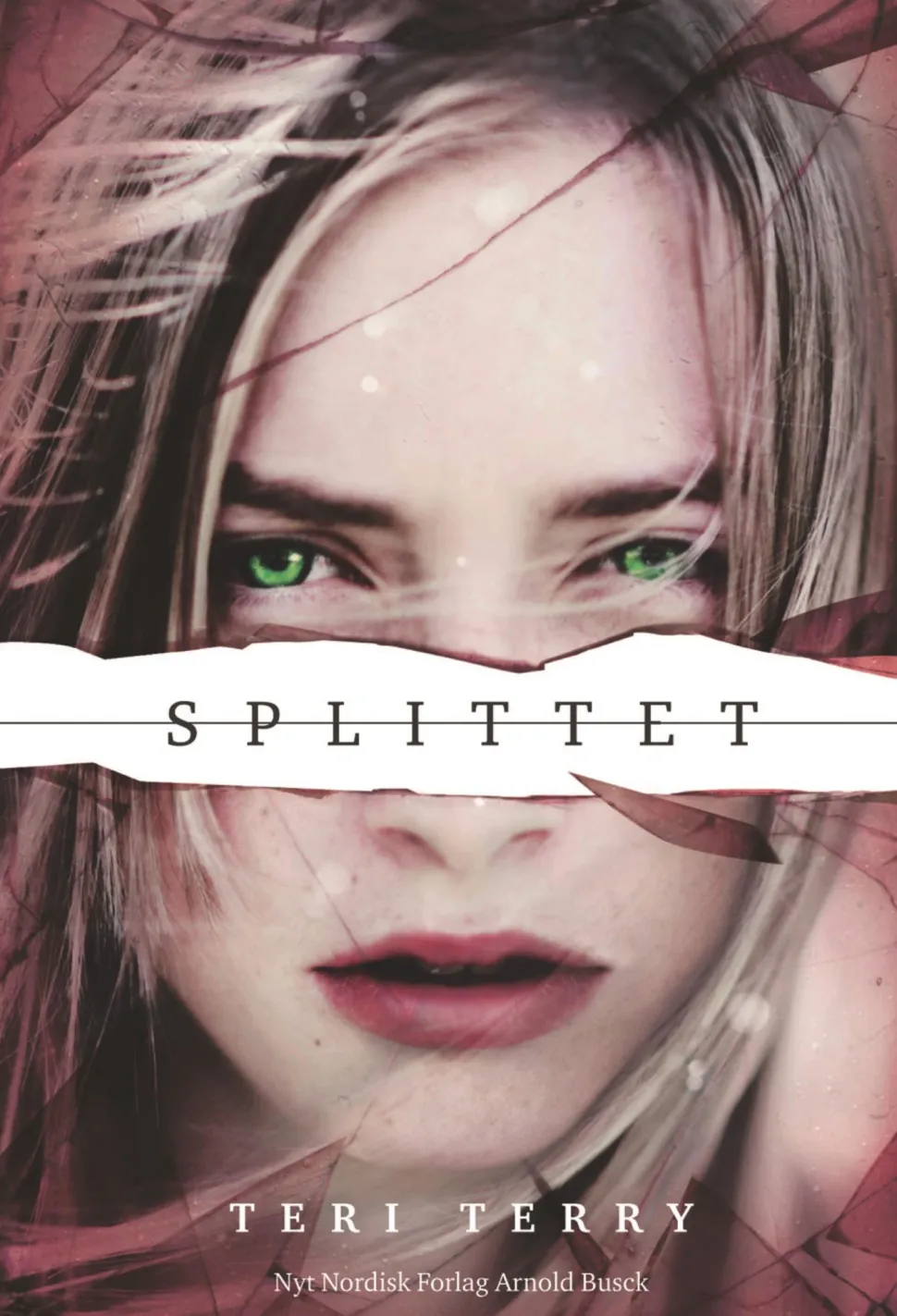 Slettet 2 - Splittet (Ebog, epub, Dansk) af Teri Terry