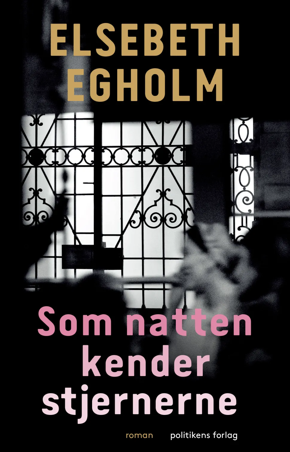 Som natten kender stjernerne (Ebog, epub, Dansk) af Elsebeth Egholm