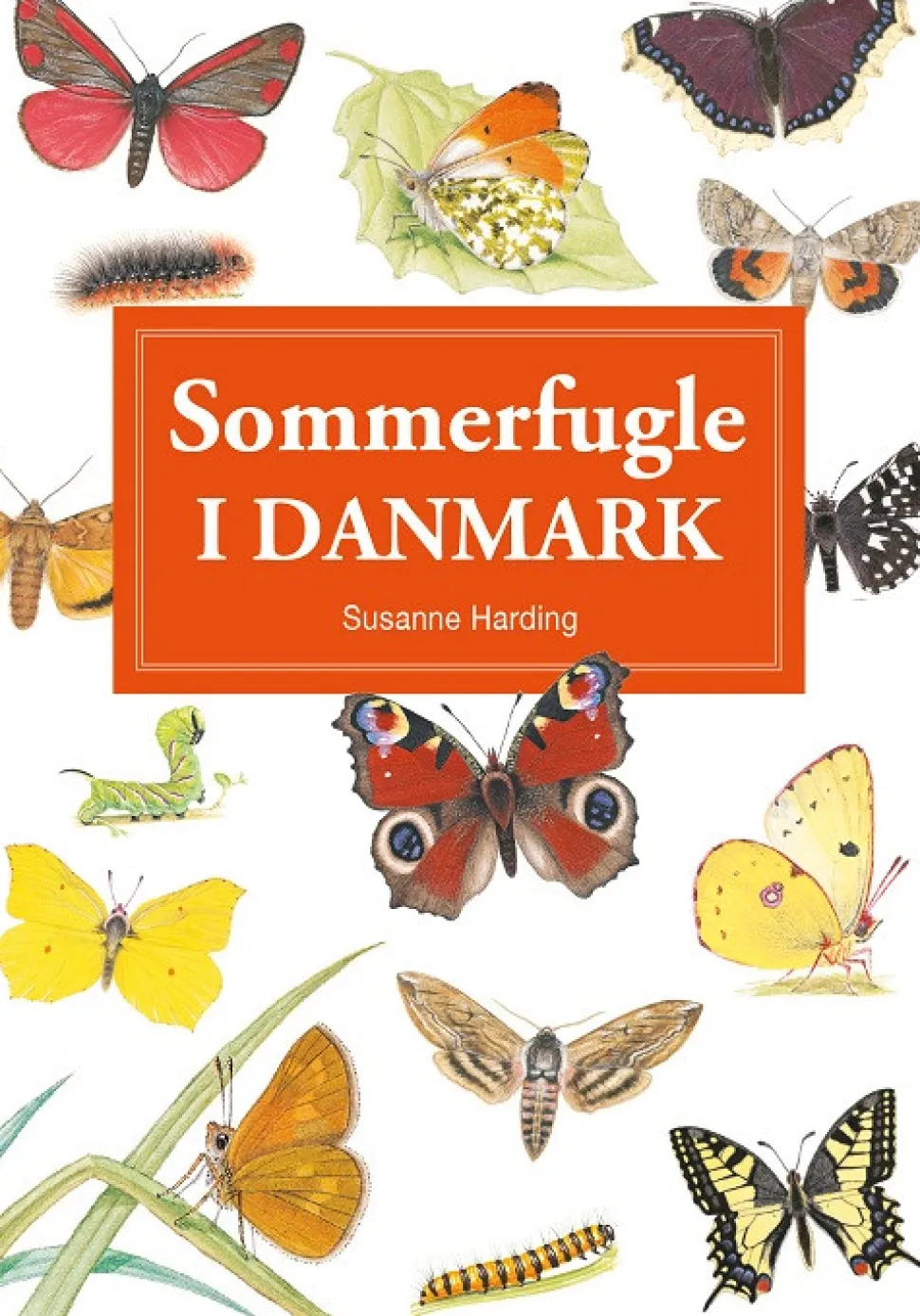 Sommerfugle i Danmark (spiralryg, dansk) af Susanne Harding