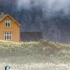 Sommerregn (Ebog, epub, Dansk) af Anita Strøm