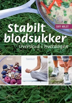 Stabilt blodsukker - overskud i hverdagen: kost - tanker - bevægelse (Ebog, epub, Dansk) af Siff Holst