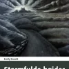 Stormfulde højder (Lydbog, zip_mp3, Dansk) af Emily Brontë