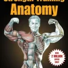 Strength Training Anatomy (Bog, Paperback / softback, Engelsk) af Frédéric Delavier