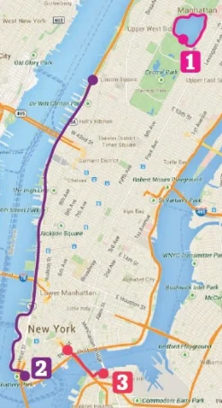 Sund og aktiv ferie i New York (Ebog, pdf, Dansk) af Anne Blume Futtrup