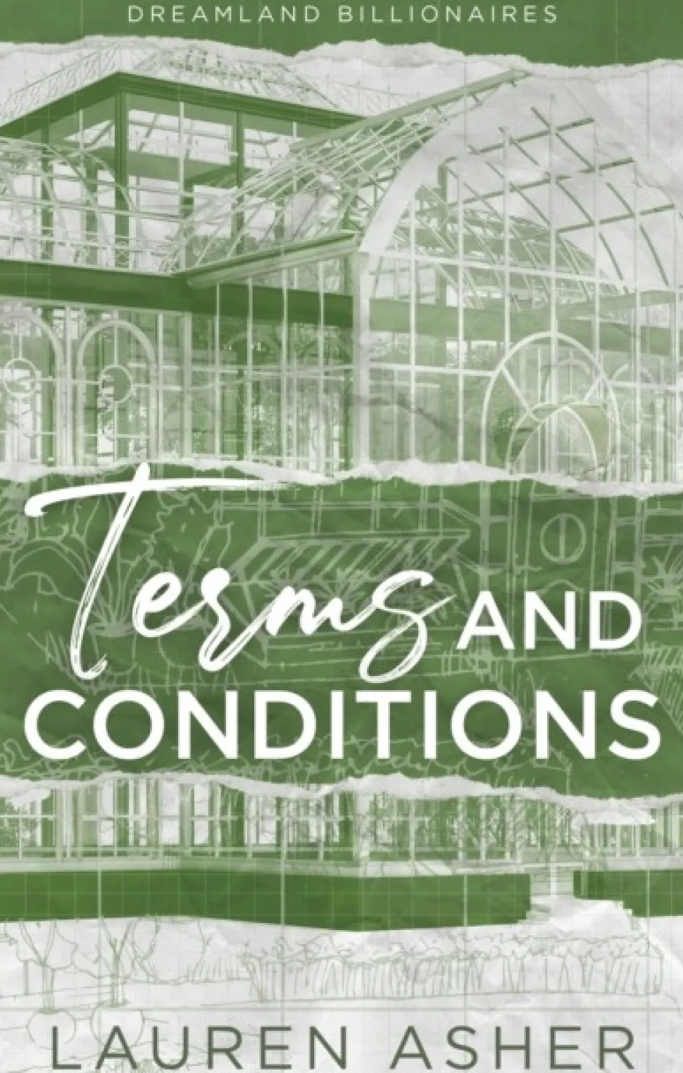 Terms and Conditions: the fake-dating TikTok sensation! Meet the Dreamland Billionair... (Bog, Paperback / softback, Engelsk)