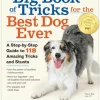 The Big Book of Tricks for the Best Dog Ever: A Step-by-Step Guide to 118 Amazing Tri... (Bog, Paperback / softback, Engelsk)