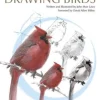 The Laws Guide to Drawing Birds (Bog, Paperback / softback, Engelsk) af John Muir Laws