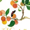 The Mirabelles (Bog, Paperback / softback, Engelsk) af Annie Freud