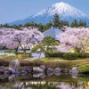 The Rough Guide to Japan: Travel Guide with eBook (Bog, Paperback / softback, Engelsk) af Rough Guides