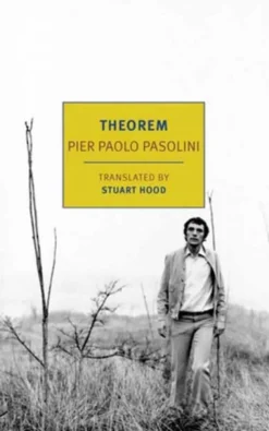 Theorem (Bog, Paperback / softback, Engelsk) af Pier Paolo Pasolini