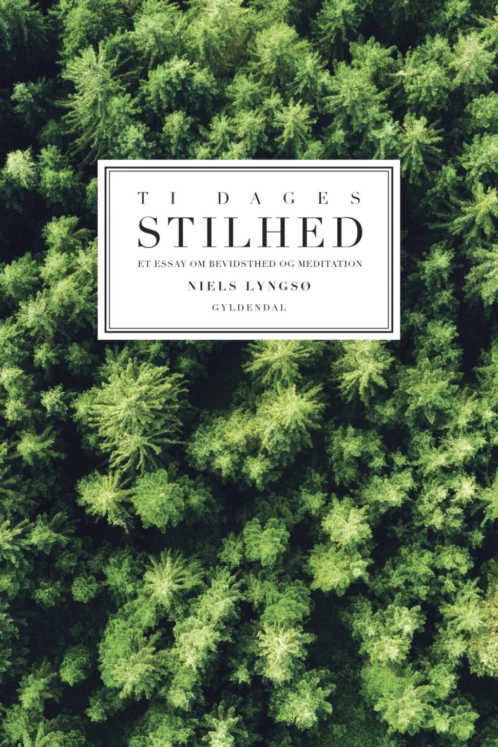 Ti dages stilhed: Et essay om meditation og bevidsthed (Ebog, epub, Dansk) af Niels Lyngsø