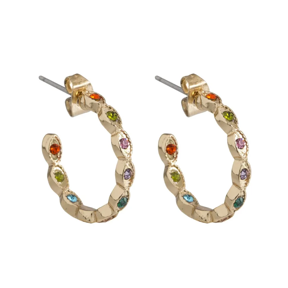 Timi of Sweden: Colorful Chrystals Hoop Earrings - Gold (Smykke, Earrings)