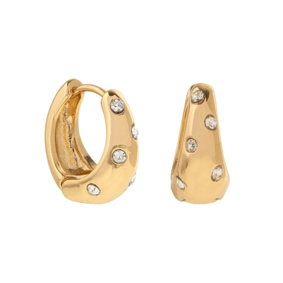 Timi of Sweden: Crystal Spotted Hoop (Smykke, Earrings)