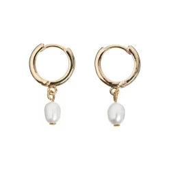 Timi of Sweden: Pearl Small Hoop Earrings - Gold (Smykke, Earrings)