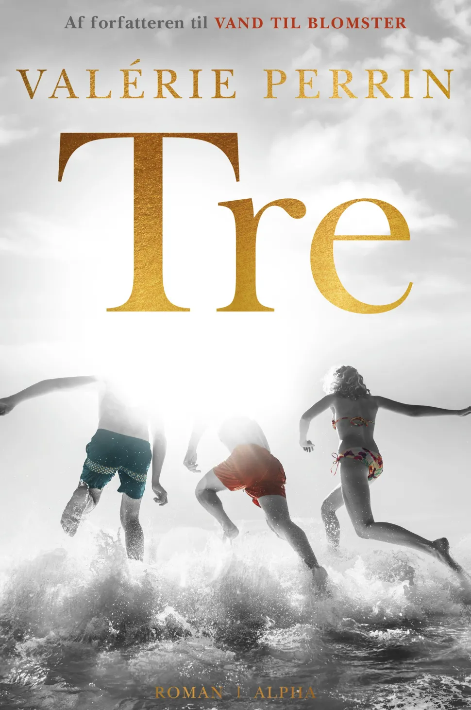 Tre (bog, indbundet, dansk) af Valerie Perrin
