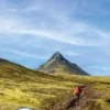 Trekking Map: Iceland's Laugavegur Trail (& Fimmvorduhals Trail): 1:40,000 mapping- F... (Sheet map, folded, Engelsk)