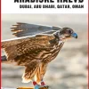 Turen Går Til Arabiske Halvø: Dubai, Abu Dhabi, Qatar, Oman (Bog, Hæftet, Dansk) af Louise Alkjær og Nina Faurby