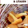 Turen går til Estland, Letland & Litauen (Bog, Hæftet, Dansk) af Karin Larsen